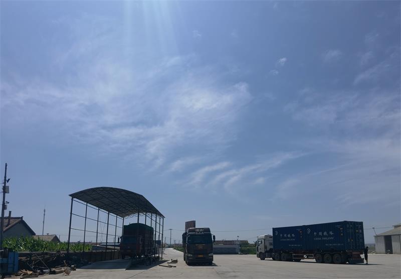 �S�^(q��)չʾ